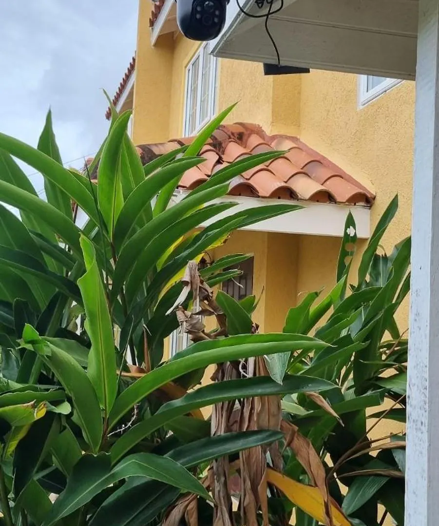 公寓 蒙特哥贝Mango Retreat In Mango Walk Country Club公寓